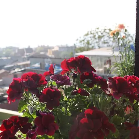 بوهارا فاميلي إن فندق 3*