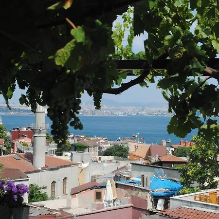 Buhara Family 호텔