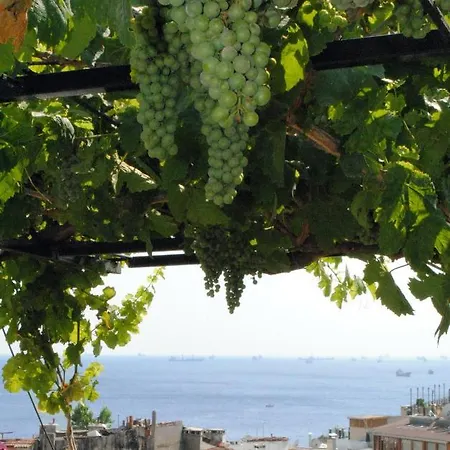 Buhara Family 3* 이스탄불