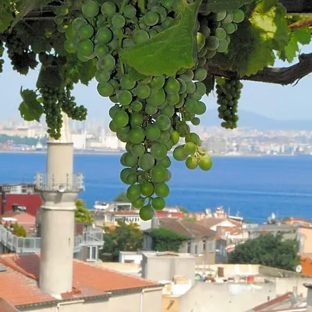 Hotel Buhara Family Provincia di Istanbul