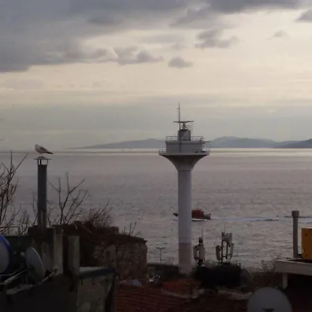 Buhara Family 3* Istanbul