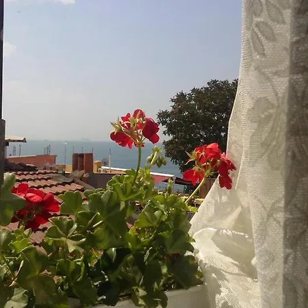 Buhara Family Hotel Istanbul