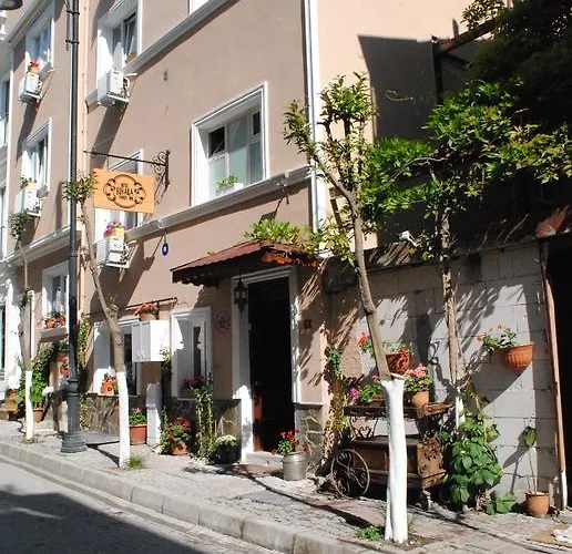 Buhara Family Отель Стамбул