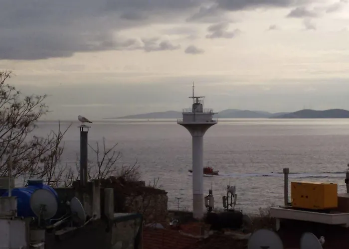 Buhara Family 3* Стамбул