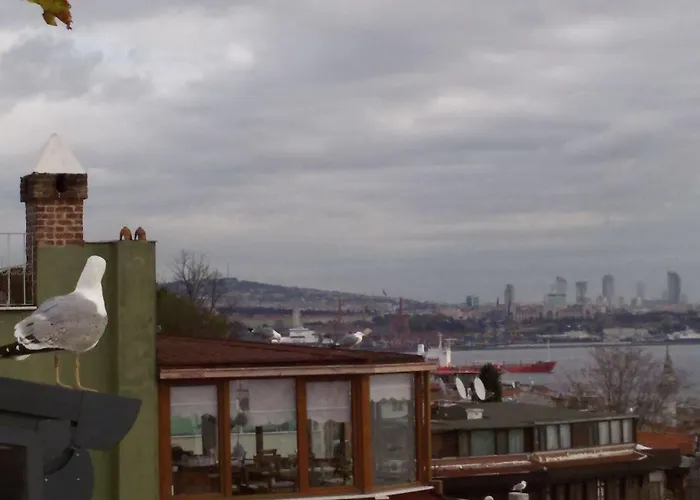 Buhara Family Стамбул