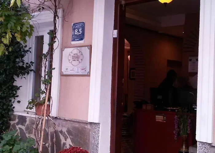 Buhara Family 3* Стамбул