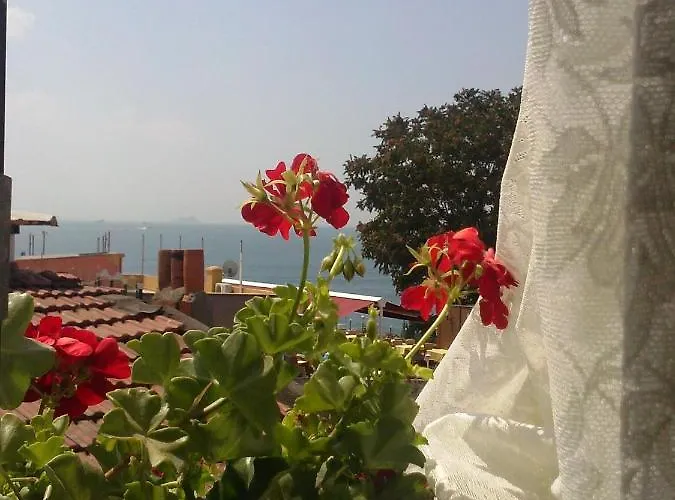 Buhara Family Отель Стамбул